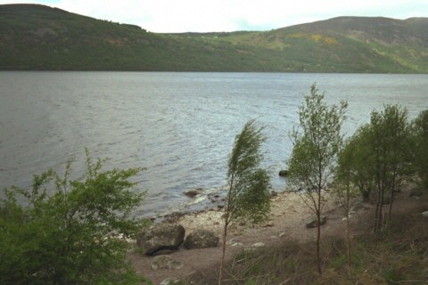 Schottland, Loch Ness, Bume
