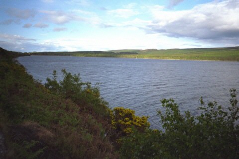 Schottland, Loch Ness, Westseite, bewlkt